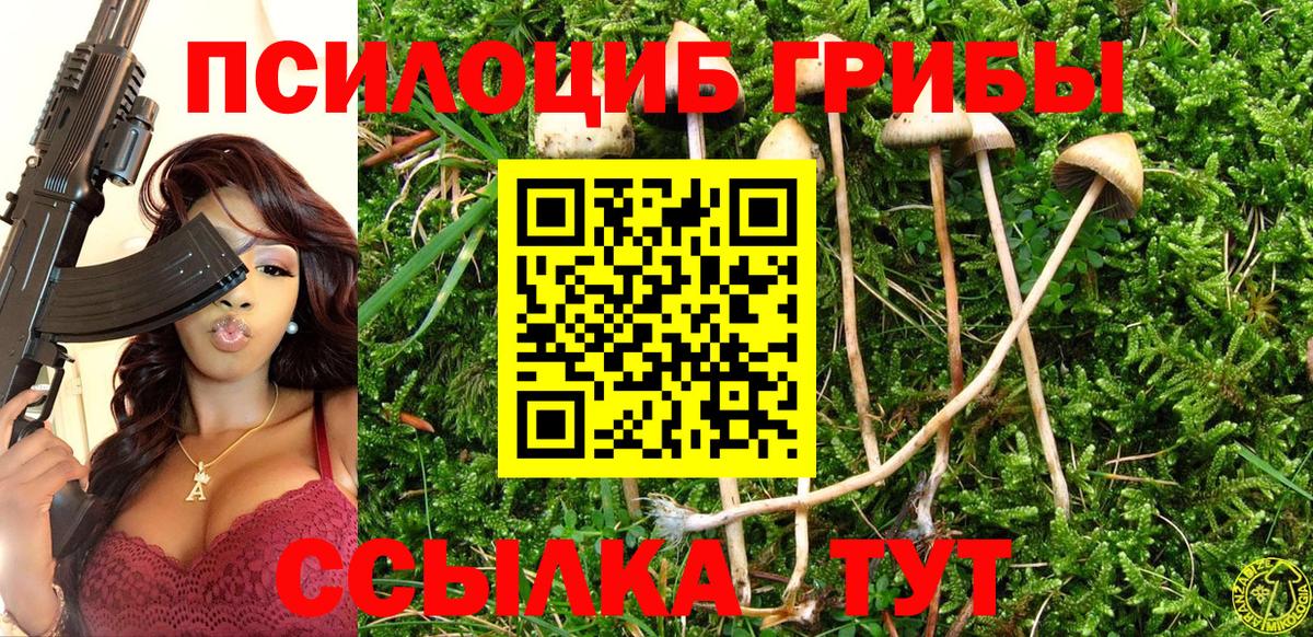 Псилоцибиновые грибы Magic Shrooms  что такое   Воскресенск  Галлюциногенные грибы Psilocybine cubensis  Вход с VPN 