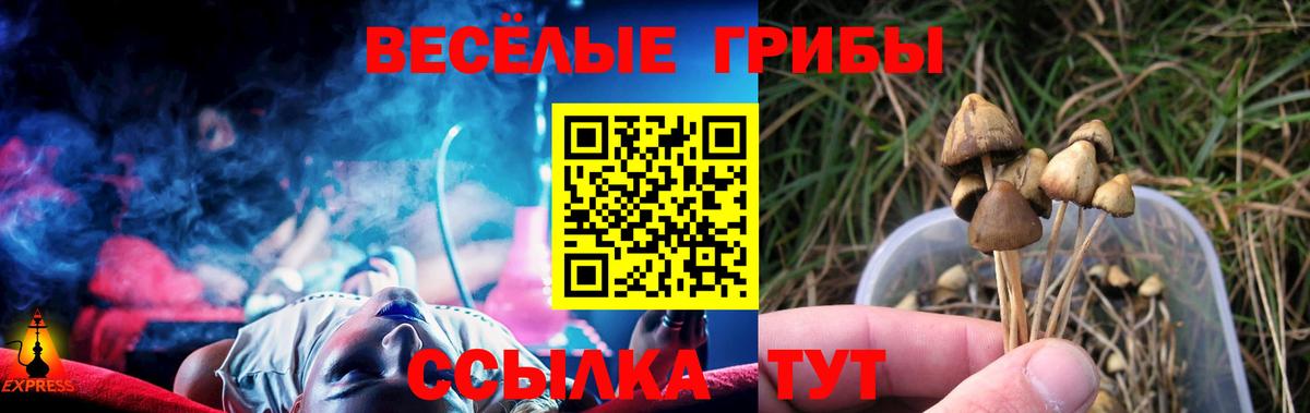 Галлюциногенные грибы Cubensis Воскресенск